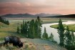 What You Need to Know Before Planning a Yellowstone Park Vacation