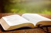 A Guide to Finding the Perfect Daily Devotional for You