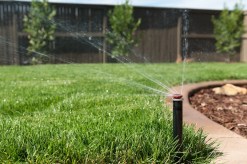 The Benefits of Following a Scotts Lawn Fertilizer Schedule